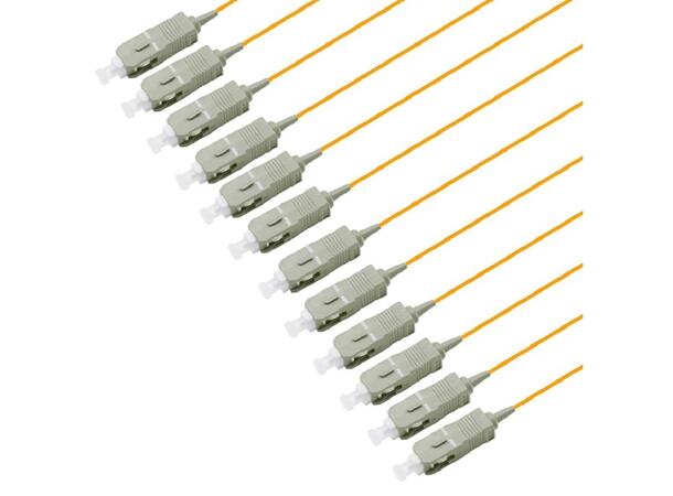 Pigtail MM SC/PC 12-pack 1,5 m 50/OM2, 900µm tigh buffer, Orange 
