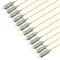 PT-MM5-T9O-SCP-15-BP Fiberworks AS  Pigtail MM SC/PC 12-pack 1,5 m 50/OM2, 900µm tigh buffer, Orange