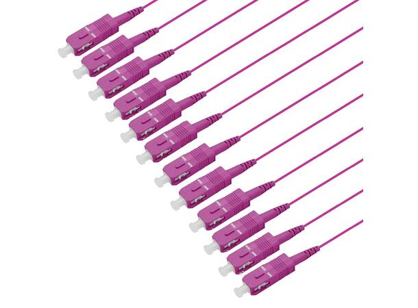 Pigtail MM SC/PC 12-pack blister 1,5 m 50/OM4 BIF 900µm tight buffer, Magenta 